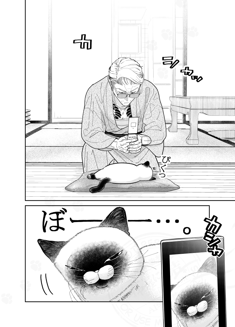 (1/2) 