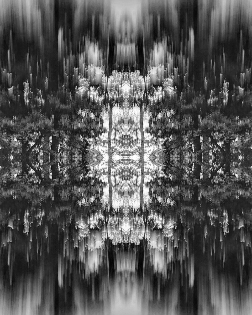 SingingLehrerin's tweet photo. Hab mal ein bisschen mit Collagen rumgespielt... Habt ihr einen Favoriten? Oder ist das euch zu künstlich?
(Bildbeschreibung beim 1. Bild) #APuddleADay #PuddleArt https://t.co/D4ig37NxXv