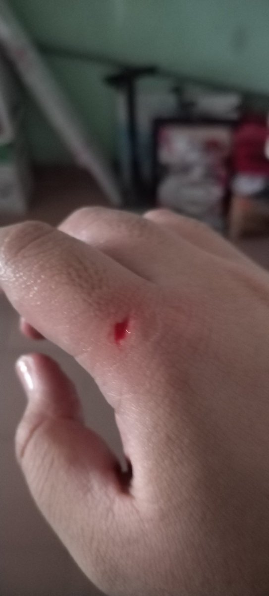 Chromelotus01 tweet media