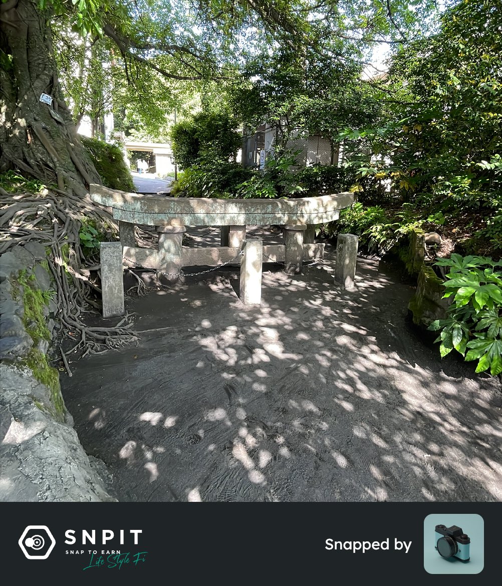 まりもさん tweet media