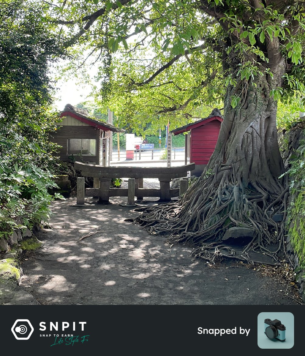 まりもさん tweet media