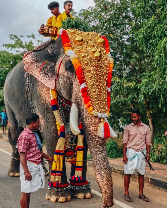 SourabhBakshi_'s tweet image. Somewhere in West Bengal.
@LavaMobile
#FramesOfIndia