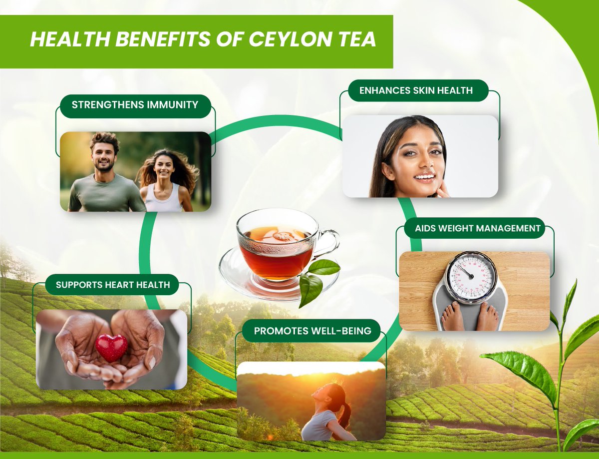 Health Benefits of Our Tea
*"Want YOUR brand on premium tea? We handle:   · 🏷️ Private   label packaging   · 🏷️ OEM blends   (turmeric, mint, etc.)   🚀 Fast turnaround   DM ‘BRAND’ to   start! #PrivateLabelTea"*