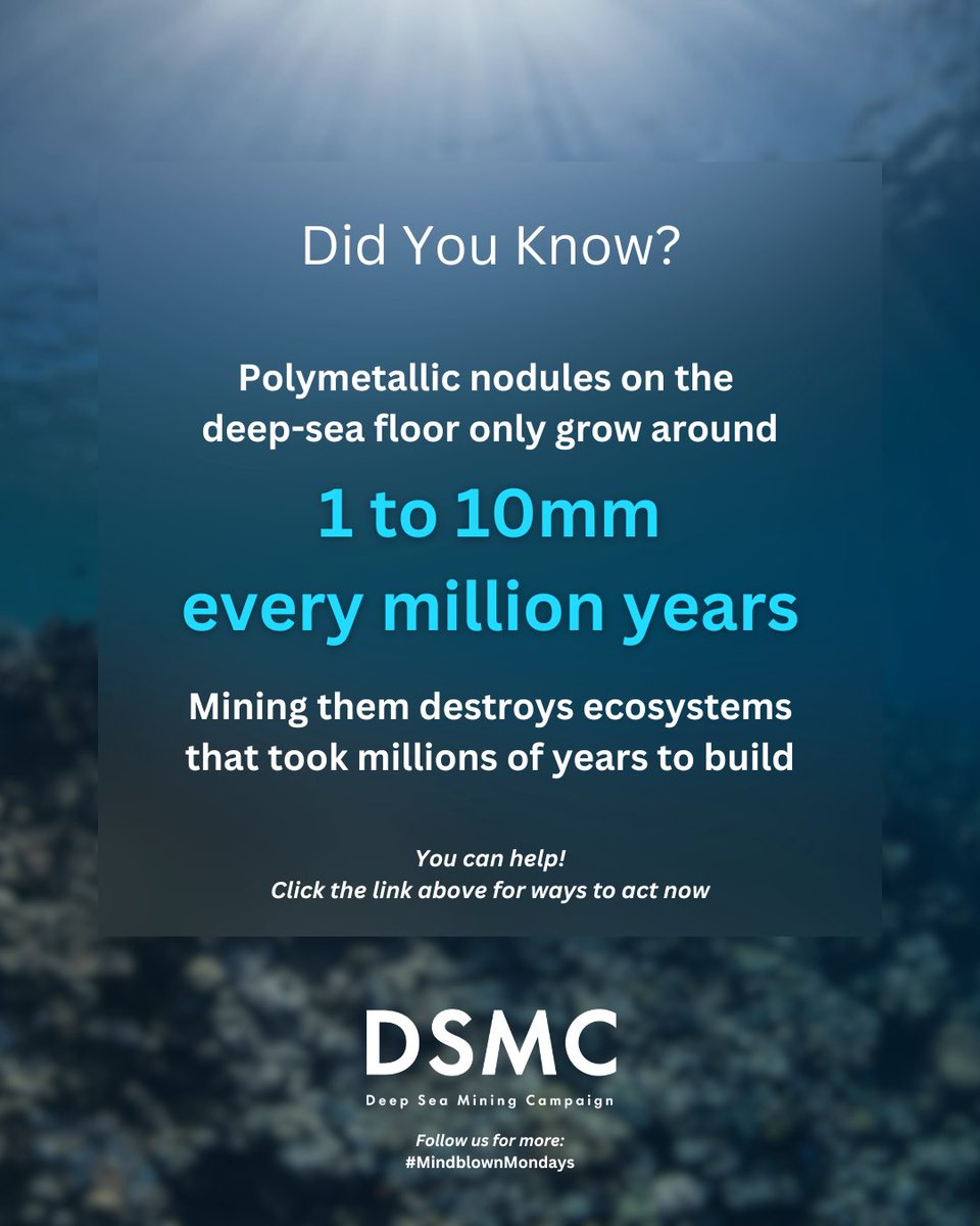 🪨 Mindblown Monday!
Polymetallic nodules take millions of years to form.
We must defend the deep ocean, not destroy it for short-term gain.

🔗 Join the call to protect the deep: linktr.ee/nodeepseamining
#MindblownMondays #ProtectOurOceans #DSMC #StopDSM