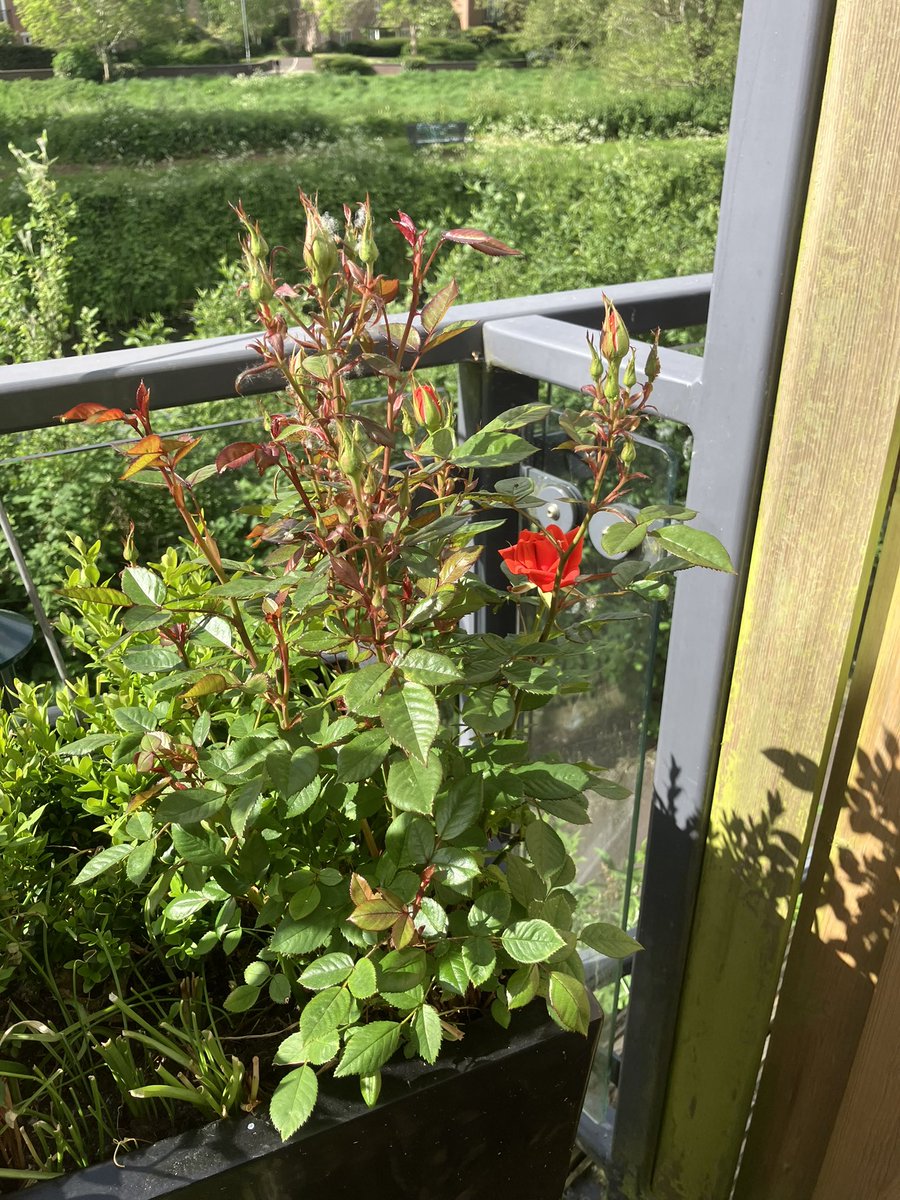 Philip Newman-Hall tweet media