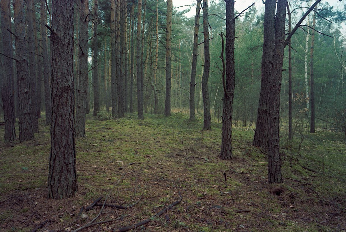 PLInst_Brussels's tweet photo. ➡️Kazerne Dossin | Landscape Archive-an artistic research project on Holocaust sites in Poland
📣Opening
📆6 May 2025
⏰18:00

➡️Exhibition
📆7 May – 30 June 2025
📍Kazerne Dossin
     Goswin de Stassartstraat 153
     2800 Malines https://t.co/T417YLyAfA