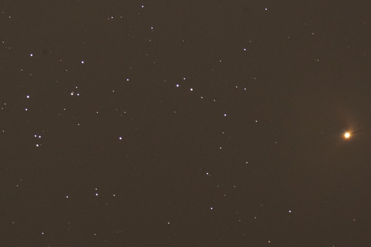 昨日21時半頃、火星とプレセペ星団の接近の様子です。
右側の赤い星が1/12に最接近した火星で、
左側に散らばった星の集まりがプレセペ星団です。
プレセペ星団は淡い星団なので、
近くに上弦の月（半月）があるだけで霞んでしまいます。
昨日天文台に来て双眼鏡で見たら、
こんな風に見えたでしょう。