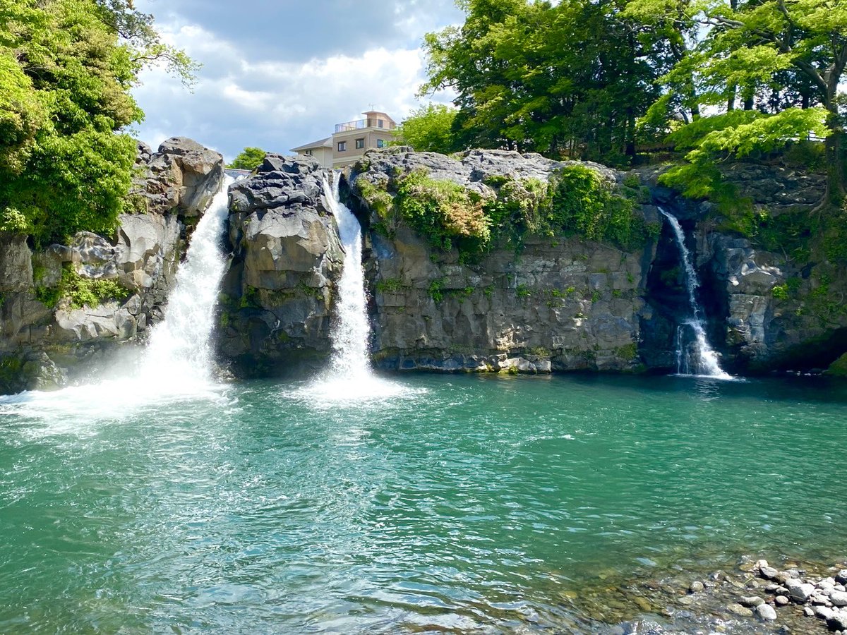 🌱みどりまつり🌱2日目✌🏻
今日も行楽日和でしたね〜

父の🪴HATI工房🪴にも多くの方々がお立ち寄りいただき感謝です🙇🏻‍♀️
清々しい新緑に囲まれて気持ちもリフレッシュできました🤗

#裾野市中央公園　の鯉のぼりは🎏5月8日まで大空を泳いでいるとのことです♪

#みどりまつり
#HATI工房