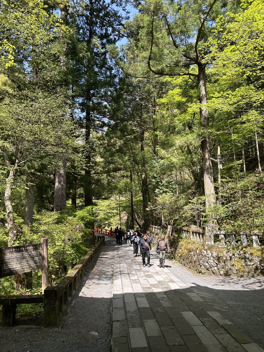 近所のパワースポットで癒やされてきました✨