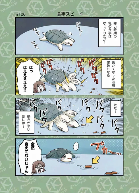 亀飼い4コマ「食事スピード」 