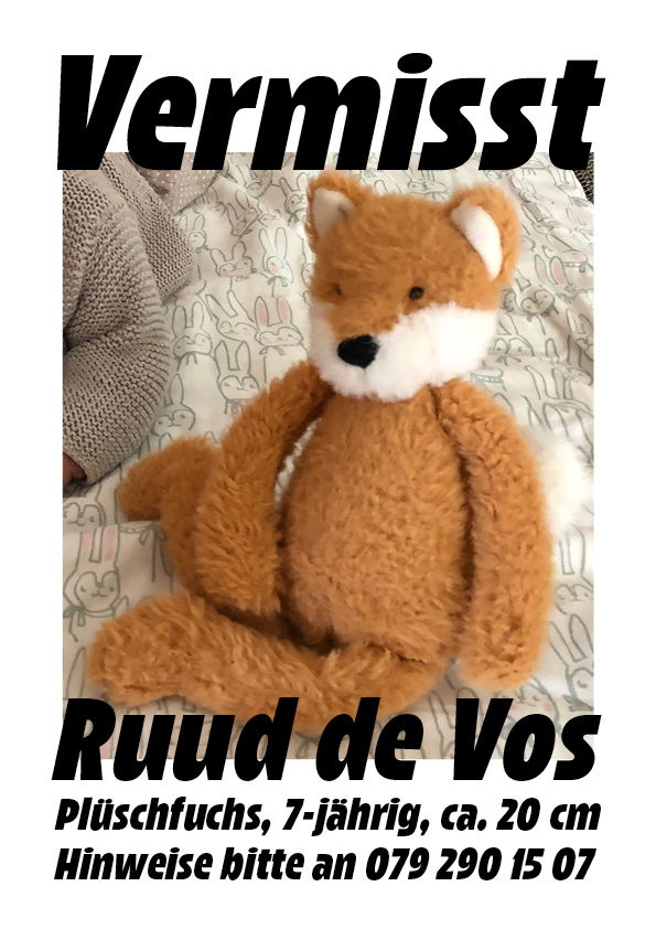 Zuletzt gesehen in Zürich-Altstetten, Quartier Rudenzweg/Schulhaus Kappeli. Bitte teilen. Herzlichen Dank!