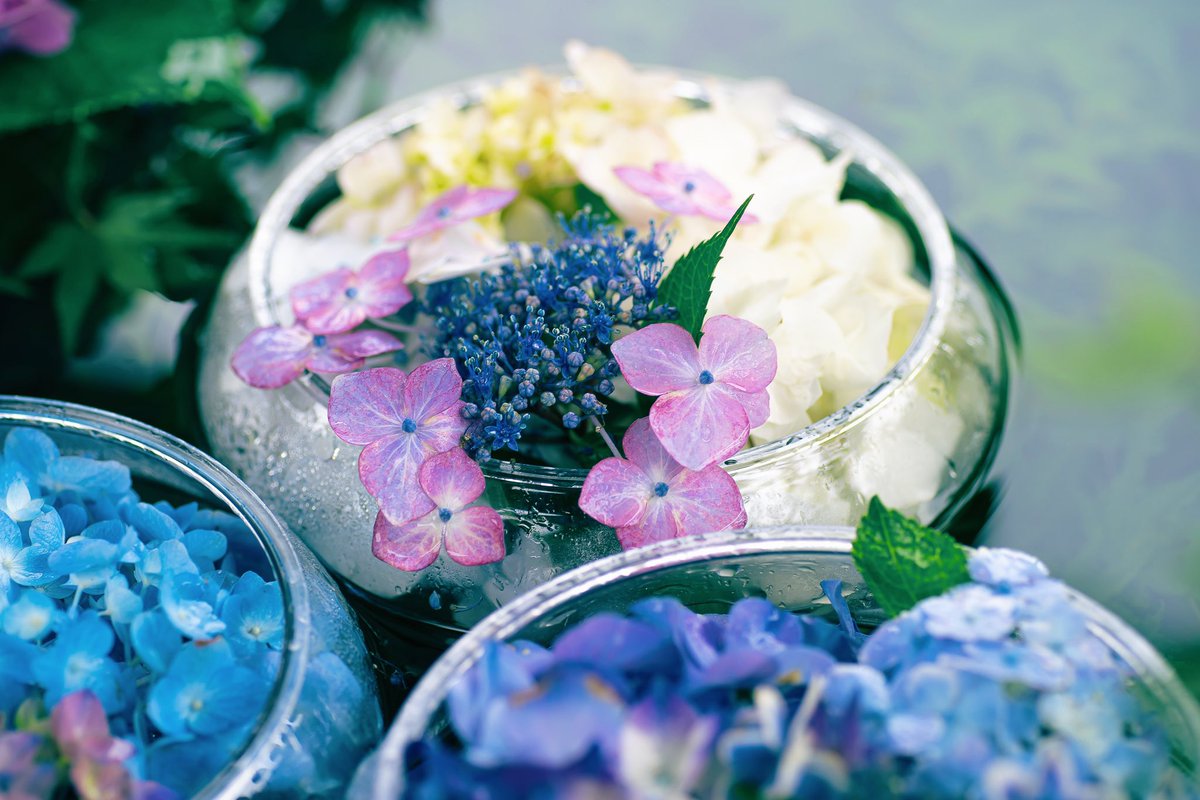 noco3n_com's tweet photo. 眺めるだけで心を癒やしてくれる花手水 https://t.co/UIzayyW143