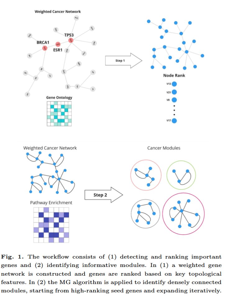 BioinfoAdv's tweet photo. 🧠 Now published in Bioinformatics Advances: “GenePioneer: A comprehensive Python package for identification of essential genes and modules in cancer”

Read the full paper here: https://t.co/yciTMsacJp

Authors include: @GolnazTaheri https://t.co/MqBVntM0mE
