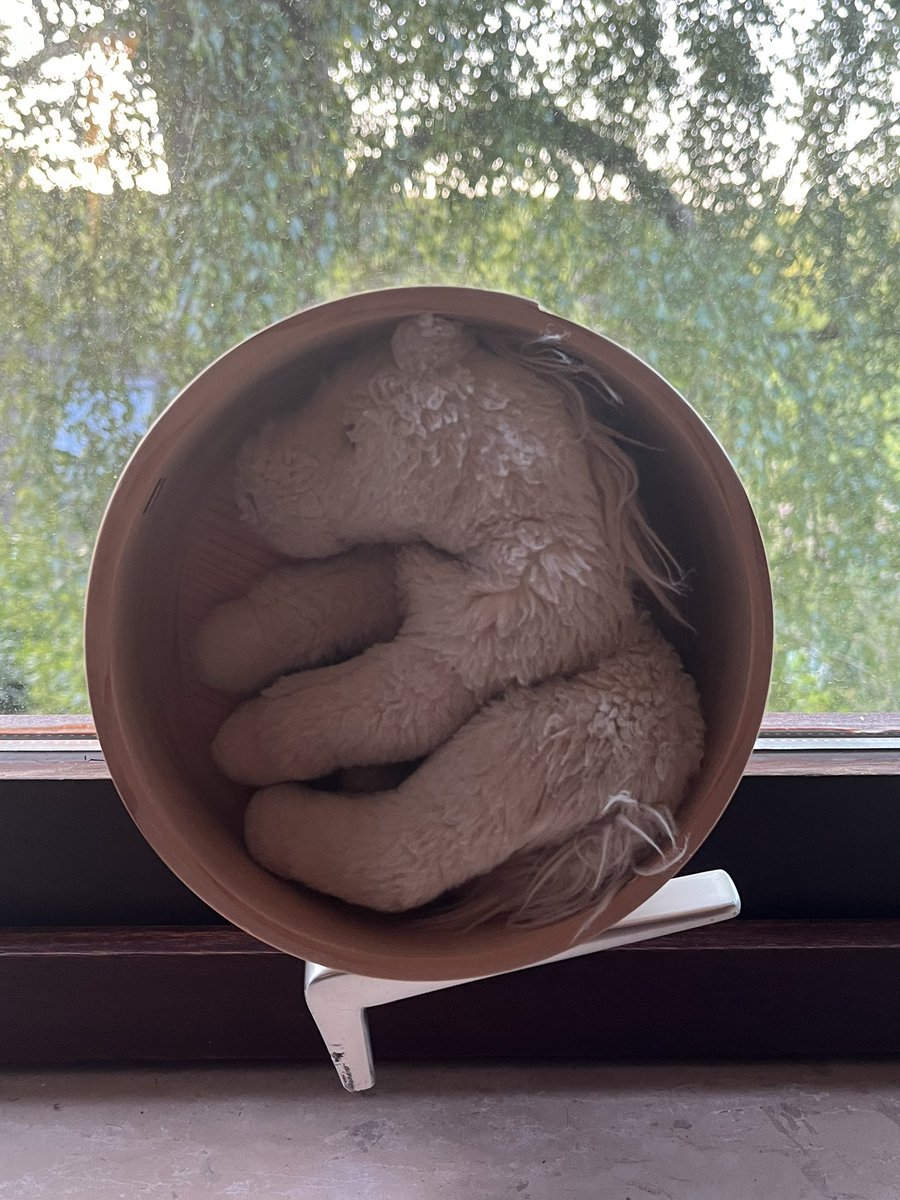 little linked lambs of awareness (@yyyyy_yyed) on Twitter photo 