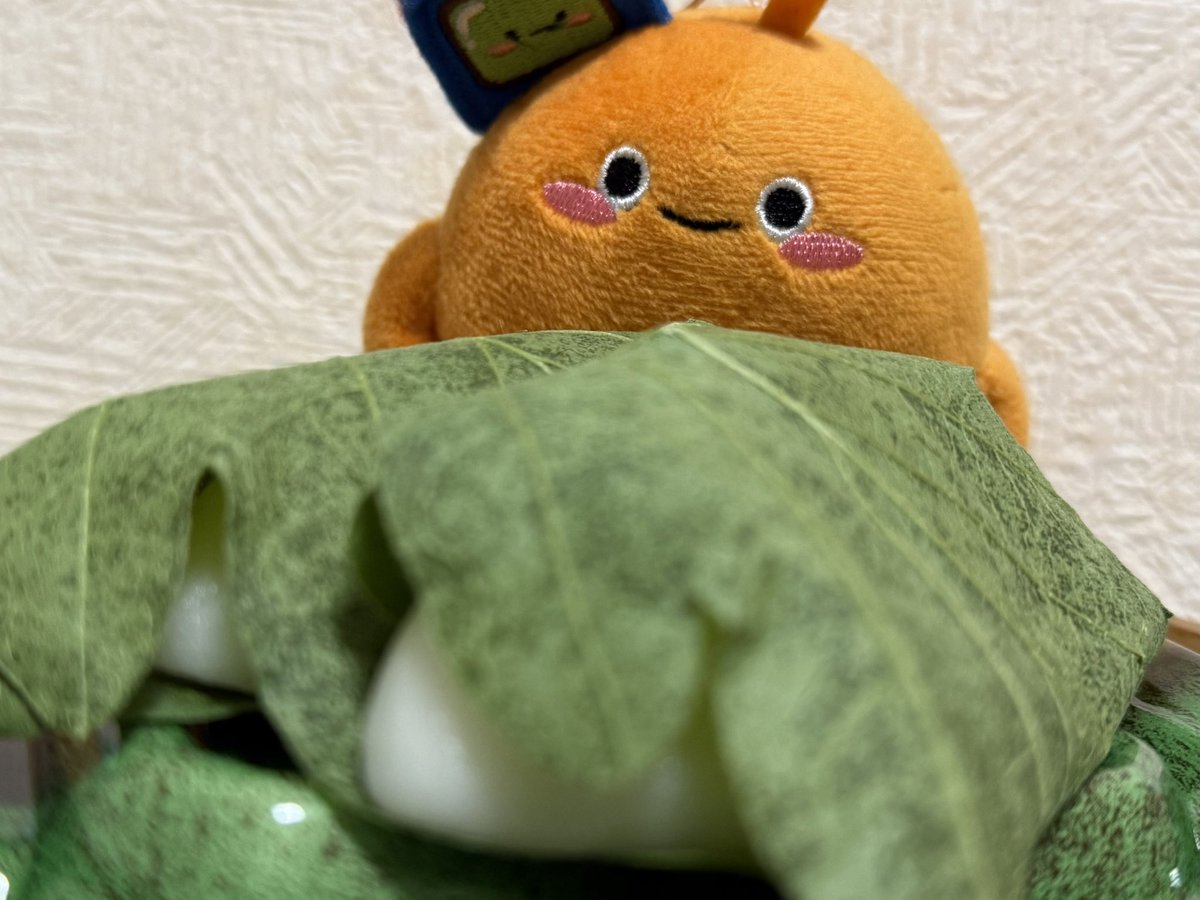 【こどもの日🎏】
みんなはもう、かしわ餅食べた？

#かしわ餅
#こどもの日
#端午の節句
#チルくん