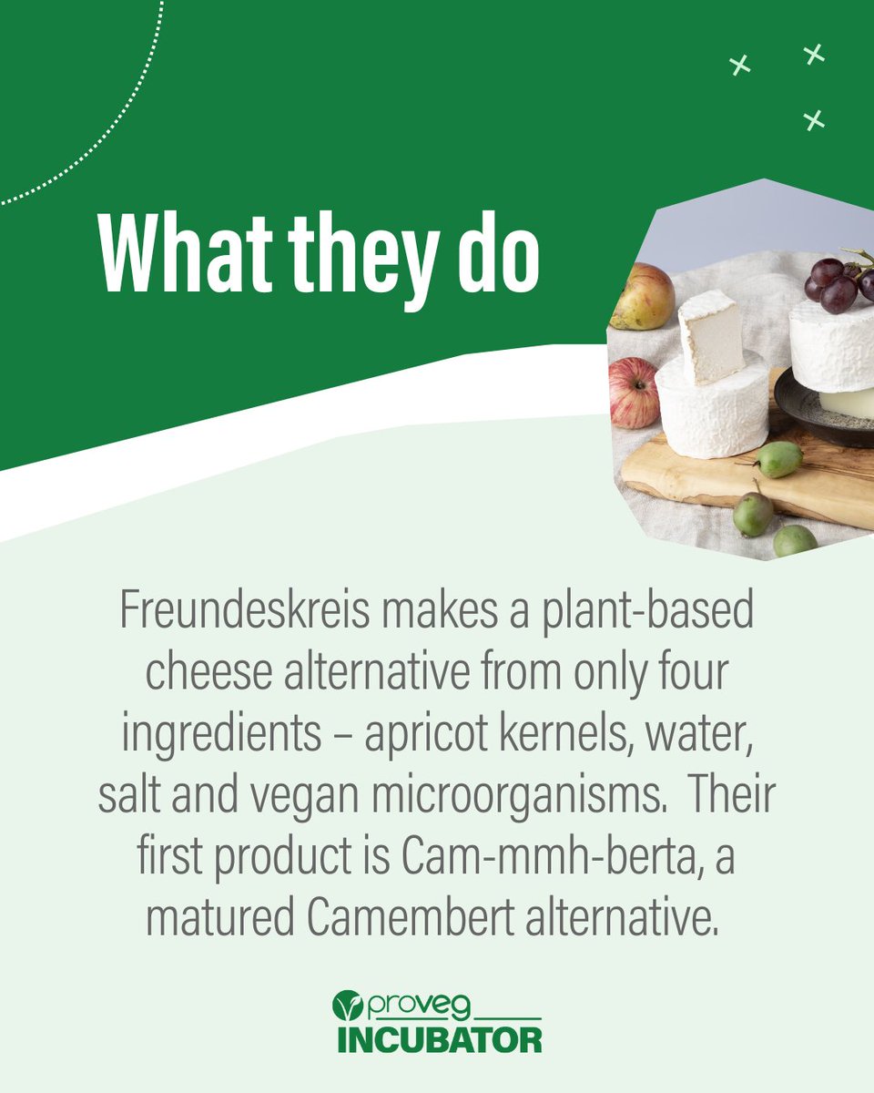 ProvegIncubator's tweet image. Meet Freundeskreis! 🧀 They creating plant-based cheese alternatives from apricot seeds, offering an authentic cheese experience with a creamy texture. #ProVegIncubator13