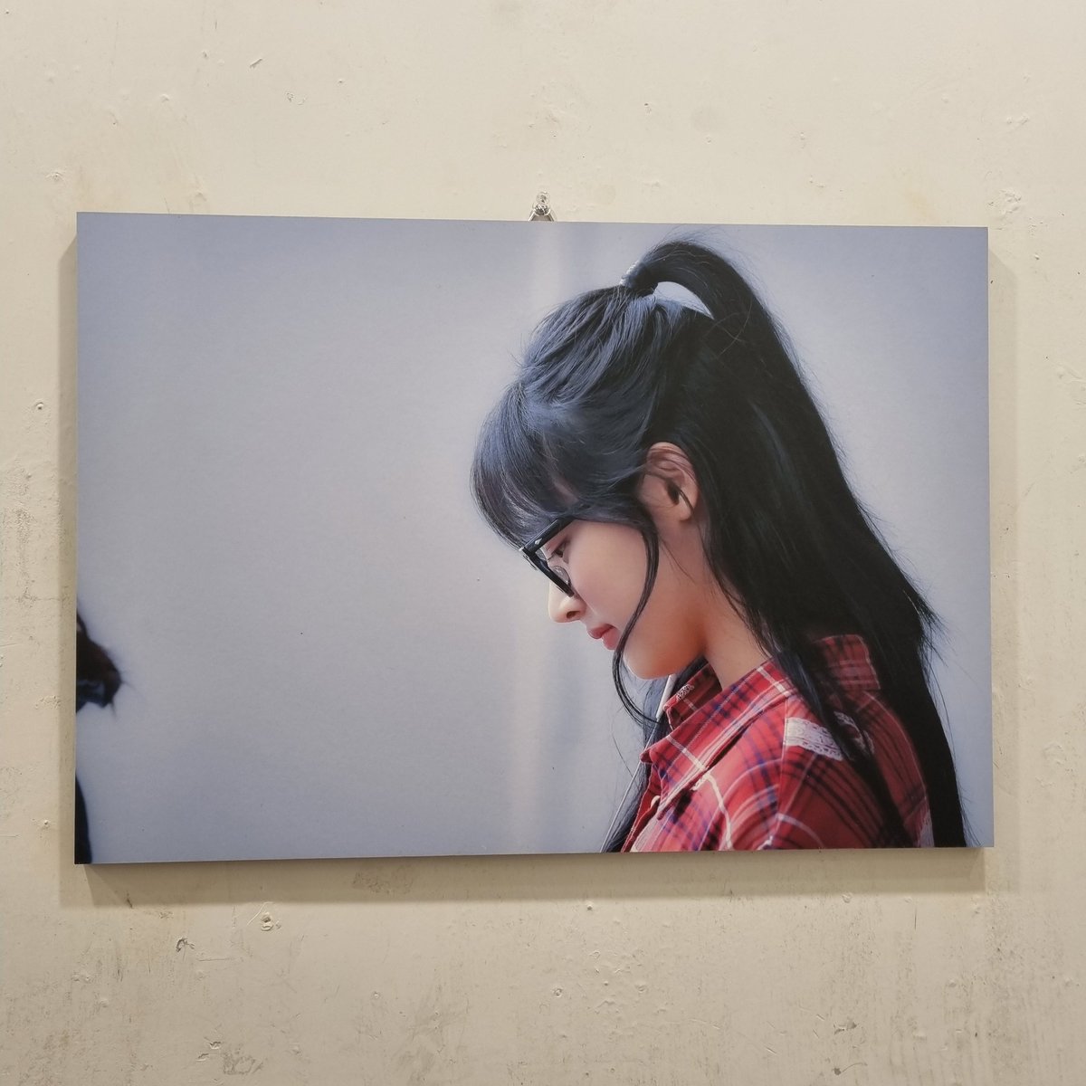 고도리 tweet media