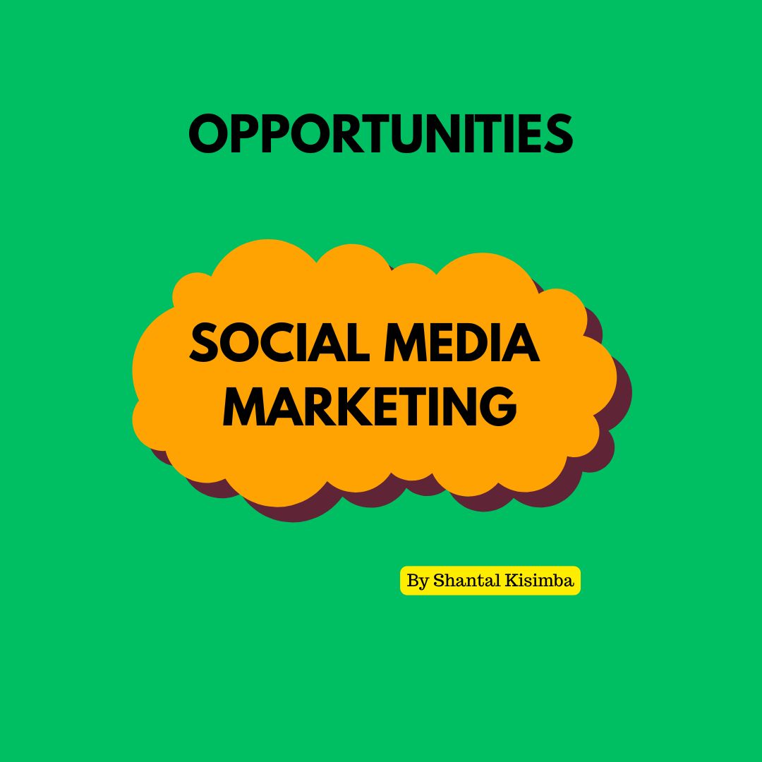 Social Media Tools if well studied, can be a great door way for businesses and brands to get their next target client, partner, donor or collaborator. 

The Social Media space has shifted greatly from a Social Space to a Global Market.
