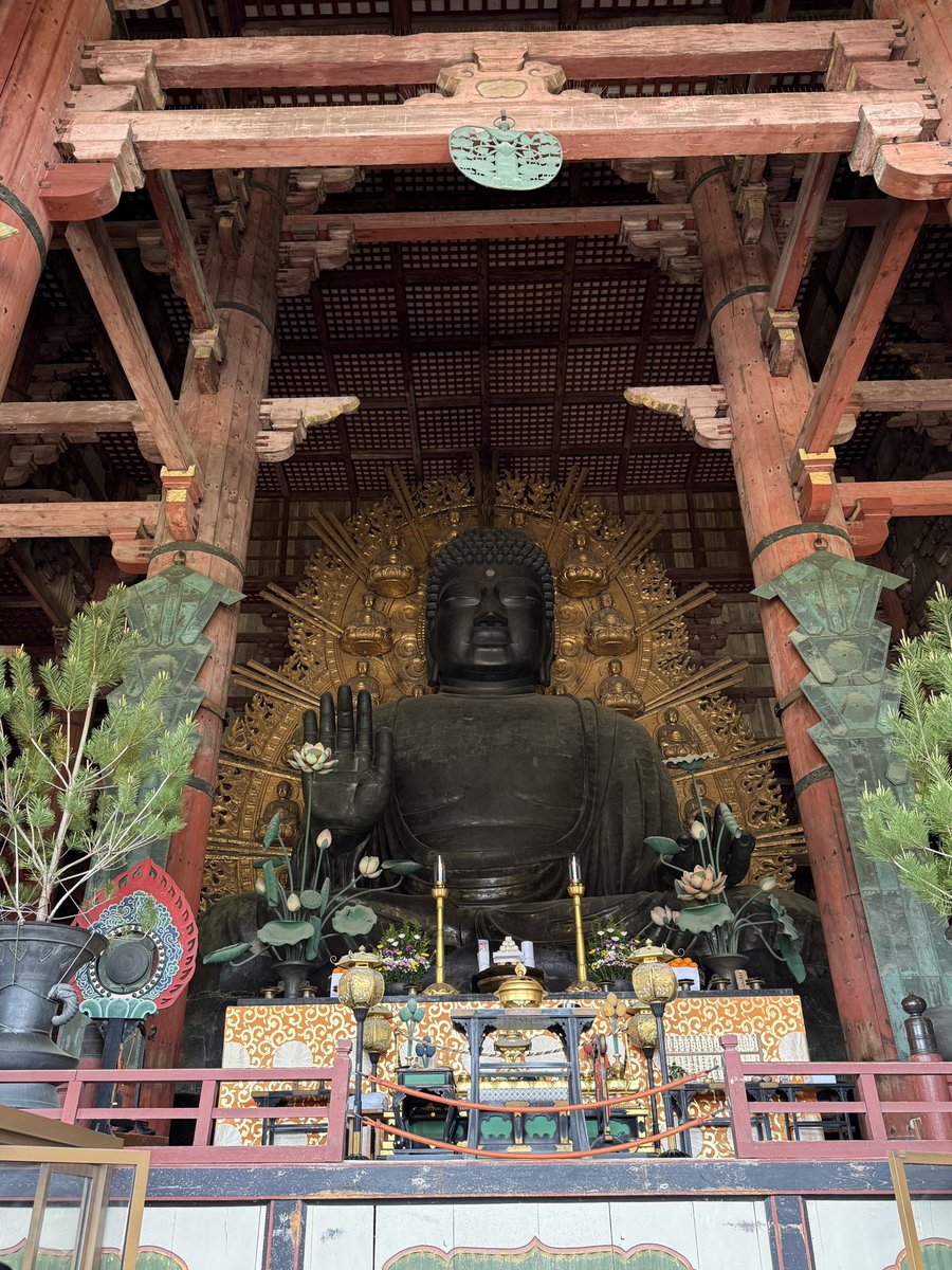 29日に行った東大寺
参道では日本語が聴こえないくらい海外の方々がぎっしり❗️