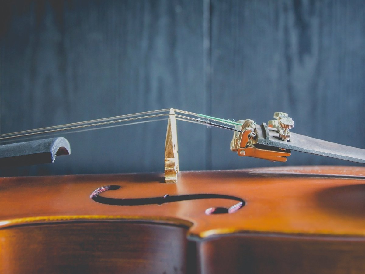 This year's festival has a special emphasis on string quartets. Our Friday Late Night Concert is going to be an innovative and exciting experience, with four quartets surrounding the audience to perform Tavener's 'Towards Silence'. Tickets on our website - killaloemusicfestival.com