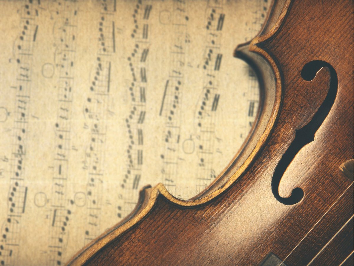 SCS Killaloe Music Festival tweet media