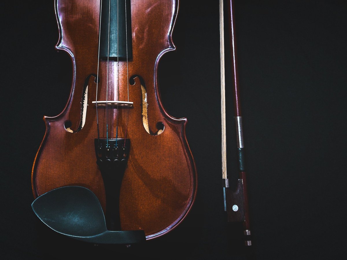 SCS Killaloe Music Festival tweet media