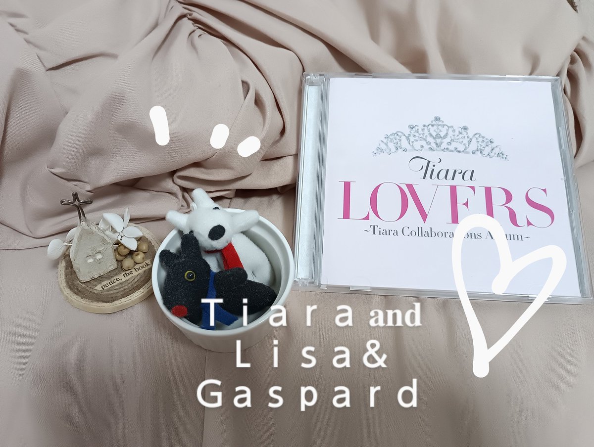 ♡tiara♡専用出品 ♛ member profile ♛ ﹏﹏﹏﹏﹏﹏﹏﹏﹏﹏ ꒰ TENKA (18) ꒱ ☑2007