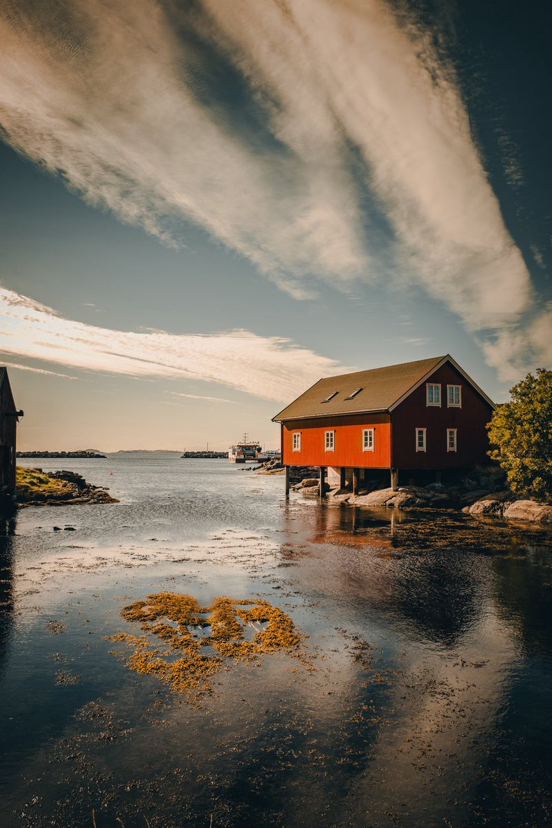 Om trang og kjærlighet