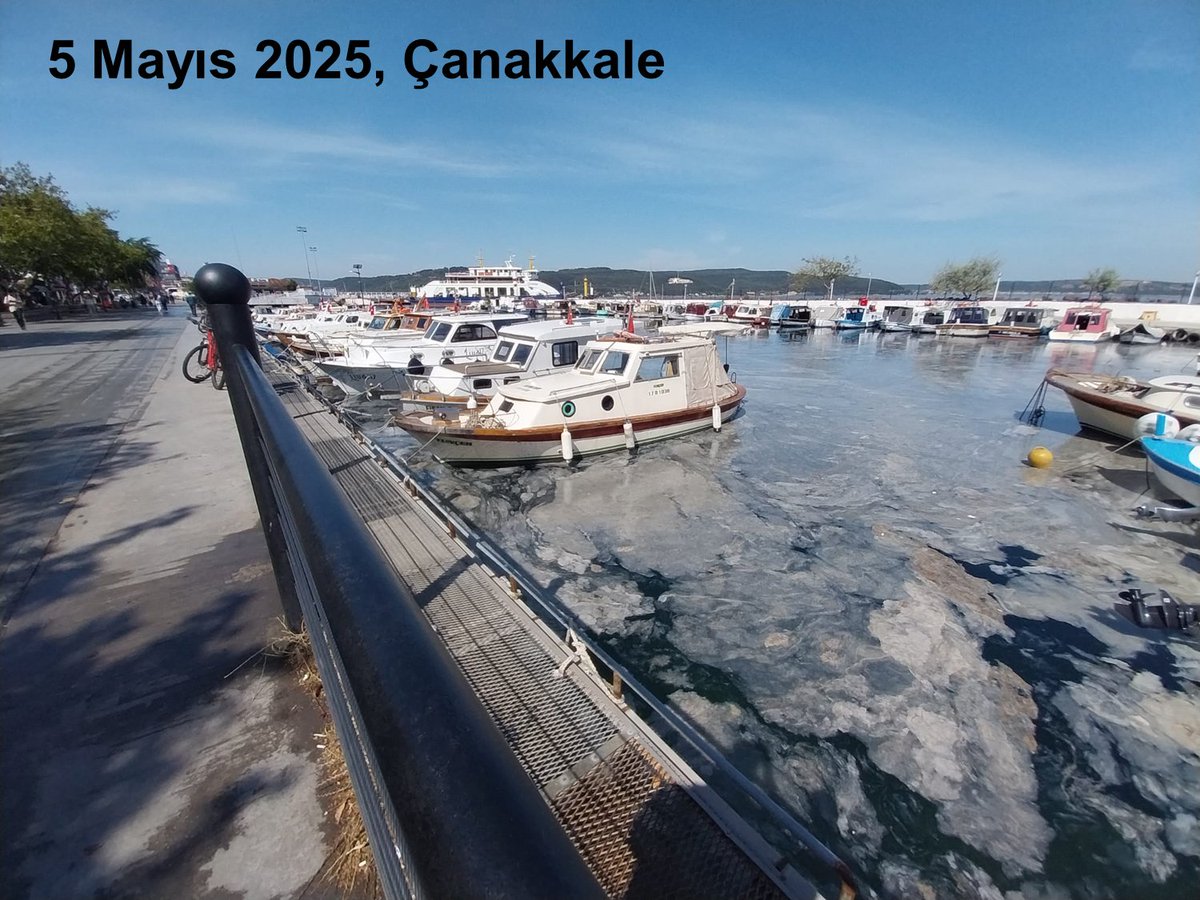Mustafa SARI, Prof. Dr. (@profmustafasari) on Twitter photo İlk görüntü Çanakkale Limanı 5 Mayıs 2025 (<a href="/berkanbasaran45/">berkanbasaran</a> ), ikinci görüntü 5 Mayıs 2021 Büyükada Balıkçı Barınağı (@sercoeksiyan). Müsilajda son durum nedir, 2021 görüntüleri tekrar yaşanır mı sorularının cevabını size bırakıyorum. Belki bazı yetkililer de görür ve önlem almak İlk görüntü Çanakkale Limanı 5 Mayıs 2025 (<a href="/berkanbasaran45/">berkanbasaran</a> ), ikinci görüntü 5 Mayıs 2021 Büyükada Balıkçı Barınağı (@sercoeksiyan). Müsilajda son durum nedir, 2021 görüntüleri tekrar yaşanır mı sorularının cevabını size bırakıyorum. Belki bazı yetkililer de görür ve önlem almak