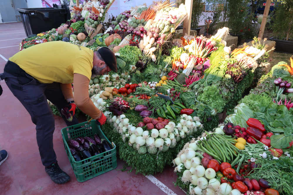 .<a href="/espigoladors/">Espigoladors</a>  aprofita les verdures de les paneres de la <a href="/FiraEsparrecs/">Fira d'Espàrrecs de Gavà</a> de #Gavà. L’entitat s’ha emportat aquest matí tot aquest excedent alimentari i molta gent necessitada el podrà aprofitar elbruguersdigital.cat/espigoladors-v…