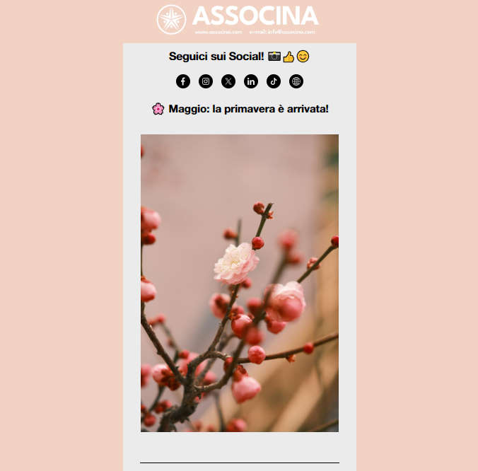 🌸 Maggio: la primavera è arrivata - mailchi.mp/017fcb038814/a…
