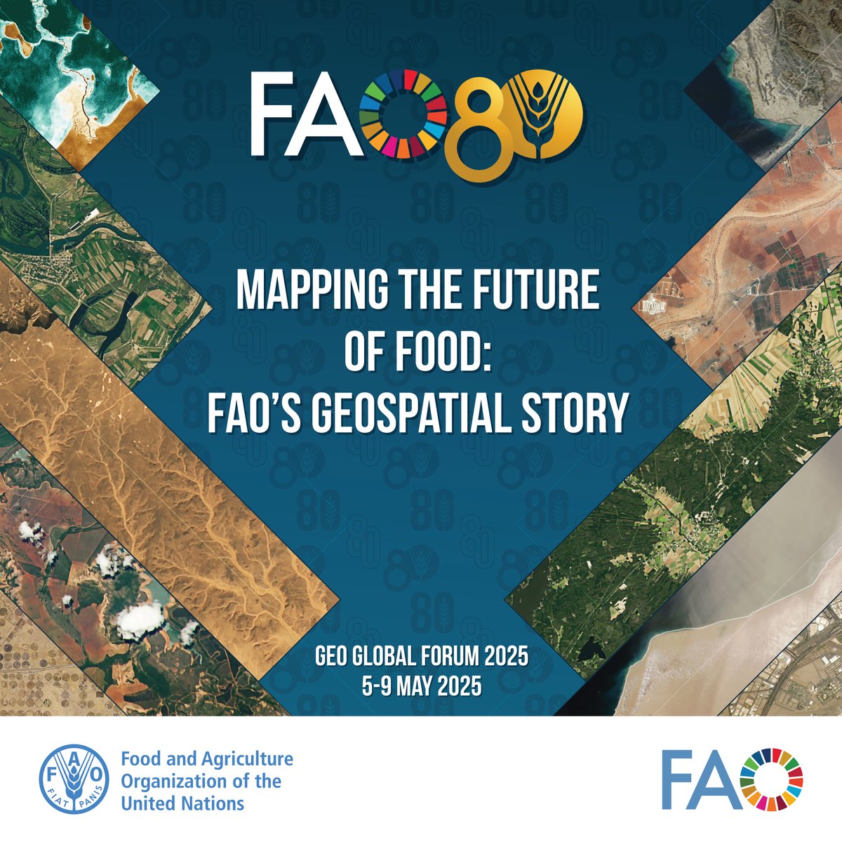 Attending the GEO Global Forum 2025 in Rome?

📍 Stop by the FAO Booth from 5–9 May at the "Convention Center – Auditorium della Tecnica" to discover how EO supports sustainable food, water &amp; land management  

More info 🔗 ow.ly/5EJt50VMOK6