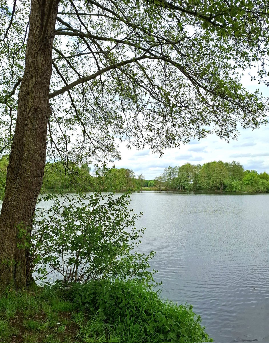 chriz31_07's tweet image. Einen schönen Wochenstart allen....👋🐕🌿

#MondayVibes #NaturePhotography #nature