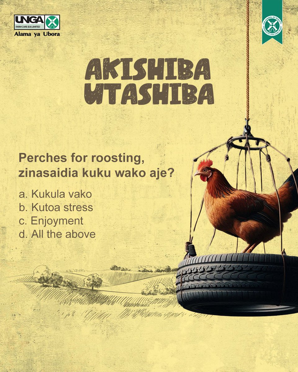 UNGAFarmcare's tweet photo. Mkulima, unajua your kienyeji and layers wanahitaji perches for roosting. Ebu tuambie kwa comments why you think they are necessary for your birds? π€
#FugoPoultry #PoultryManagement #PoultryFarming https://t.co/p1LWkohPcV