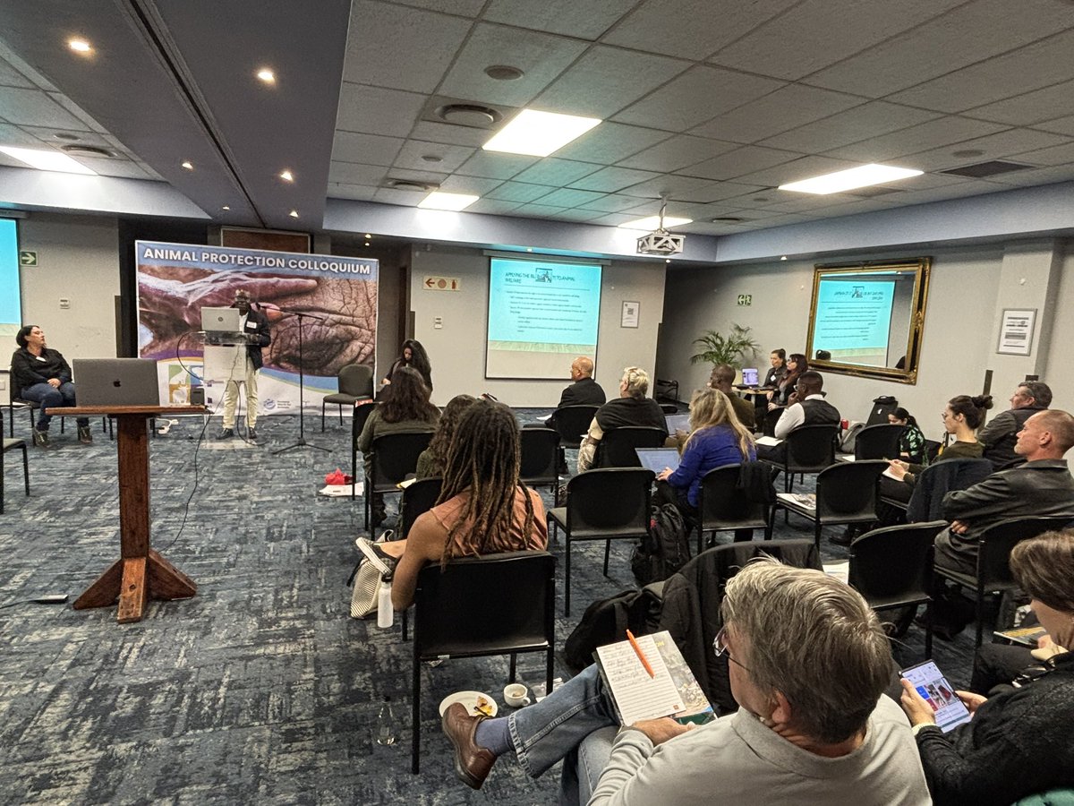 David Bilchitz (@davebil36) on Twitter photo A room filled with participants listening to Dr Felix Dube articulate the importance of utilizing the value of Ubuntu to drive law reform for animals and root it in SA context <a href="/SAIFAC_UJ/">SAIFAC</a> <a href="/AnimalLawReform/">Animal Law Reform</a> <a href="/blog_alm/">@Blog_ALM</a> <a href="/go2uj/">University of Johannesburg</a> A room filled with participants listening to Dr Felix Dube articulate the importance of utilizing the value of Ubuntu to drive law reform for animals and root it in SA context <a href="/SAIFAC_UJ/">SAIFAC</a> <a href="/AnimalLawReform/">Animal Law Reform</a> <a href="/blog_alm/">@Blog_ALM</a> <a href="/go2uj/">University of Johannesburg</a>