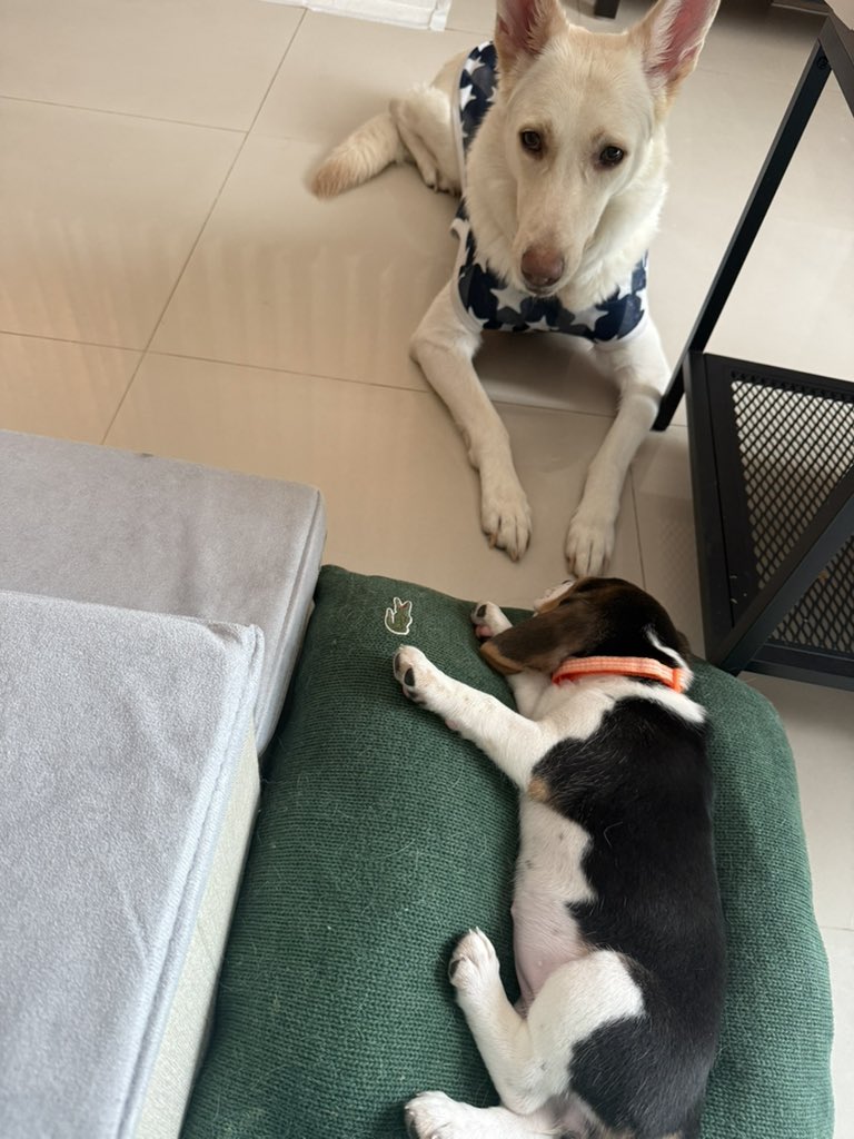 まあくん (@masashi4824) / X