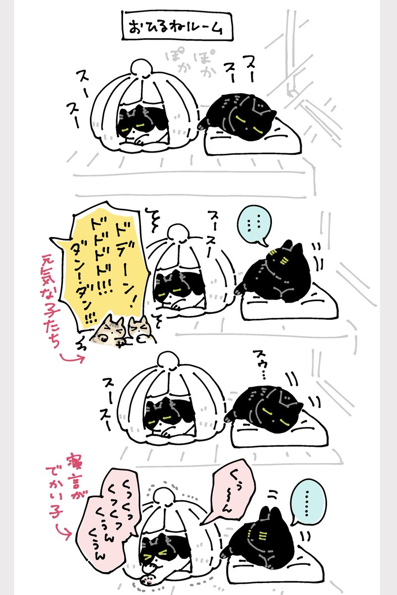 [7/7] 先輩ねことして日々がんばっている。えらい! 
