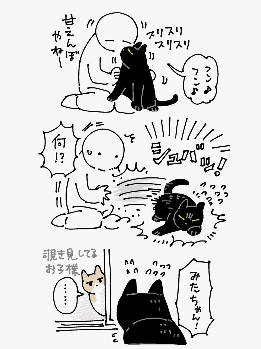 [7/7] 先輩ねことして日々がんばっている。えらい! 