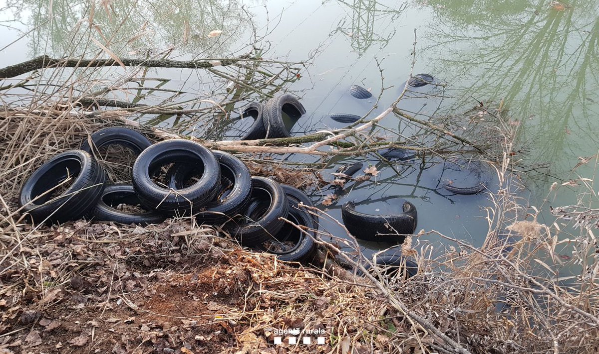 Agents Rurals (@agentsruralscat) on Twitter photo Denunciem una empresa de desballestament de vehicles de #Taradell per 5 abocaments amb un total de 250 pneumàtics al riu #Gurri al terme de #Vic.
La investigació va culminar amb un operatiu conjunt amb Inspecció Treball i <a href="/policia/">Policía Nacional</a>
📰 Nota de premsa:
ow.ly/77x950VMPoV Denunciem una empresa de desballestament de vehicles de #Taradell per 5 abocaments amb un total de 250 pneumàtics al riu #Gurri al terme de #Vic.
La investigació va culminar amb un operatiu conjunt amb Inspecció Treball i <a href="/policia/">Policía Nacional</a>
📰 Nota de premsa:
ow.ly/77x950VMPoV