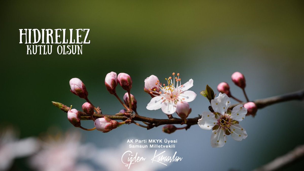 Baharın güzelliği ve bereketiyle gelen 
#Hıdırellez ‘in umutlarımızın tazelenmesine, sevinçlerimizin çoğalmasına, birlik ve beraberliğimizin daha da güçlenmesine vesile olması temennisiyle….