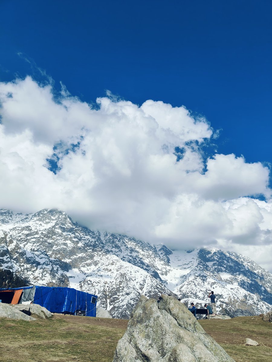 TriundTrekIndia's tweet photo. Touched the sky, walked through clouds ☁️🗻🌤️
Daytime magic at the top of Triund Trek — nature’s theatre in full show.
#TriundTrek #CloudyViews #MountainMagic #HimalayasCalling
+919958308506
https://t.co/l8sB4uxRxg https://t.co/fa5z3KZnh0