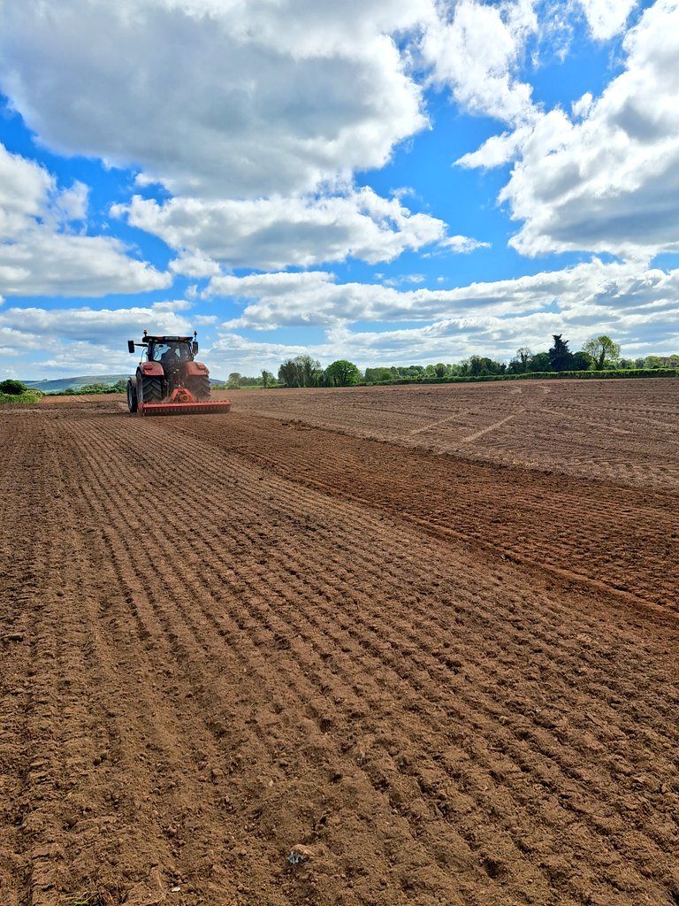 Darragh Scott tweet media