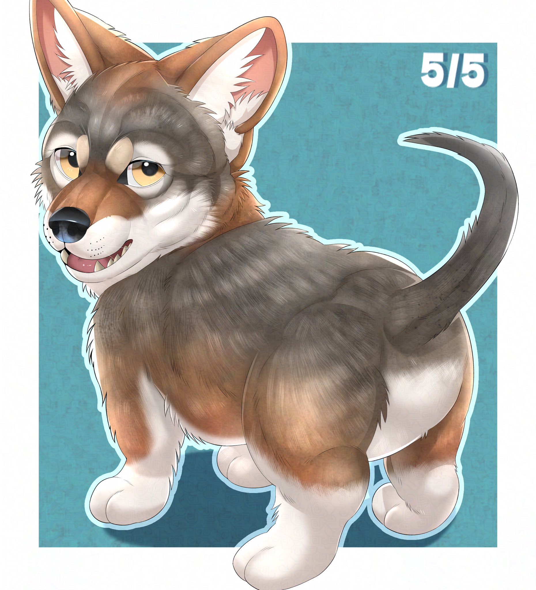 みゆを (@Canidae360) / X