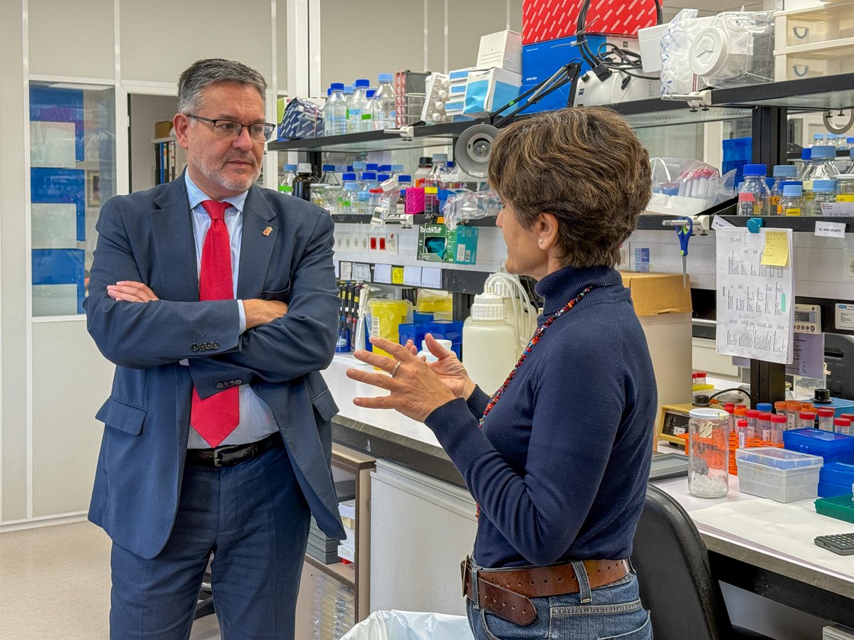 Digitalento Navarra / Nafarroa (@digitalento_na) on Twitter photo 🧬 El consejero García ha visitado el <a href="/CIMA_unav/">Cima Universidad de Navarra</a> para conocer alguna de las líneas que se están llevando a cabo en materia de investigación.
🔬 Forma parte del Sistema Navarro de I+D+i (SINAI) y cuenta con más de 400 profesionales, 48 grupos y 9 plataformas de investigación. 🧬 El consejero García ha visitado el <a href="/CIMA_unav/">Cima Universidad de Navarra</a> para conocer alguna de las líneas que se están llevando a cabo en materia de investigación.
🔬 Forma parte del Sistema Navarro de I+D+i (SINAI) y cuenta con más de 400 profesionales, 48 grupos y 9 plataformas de investigación.
