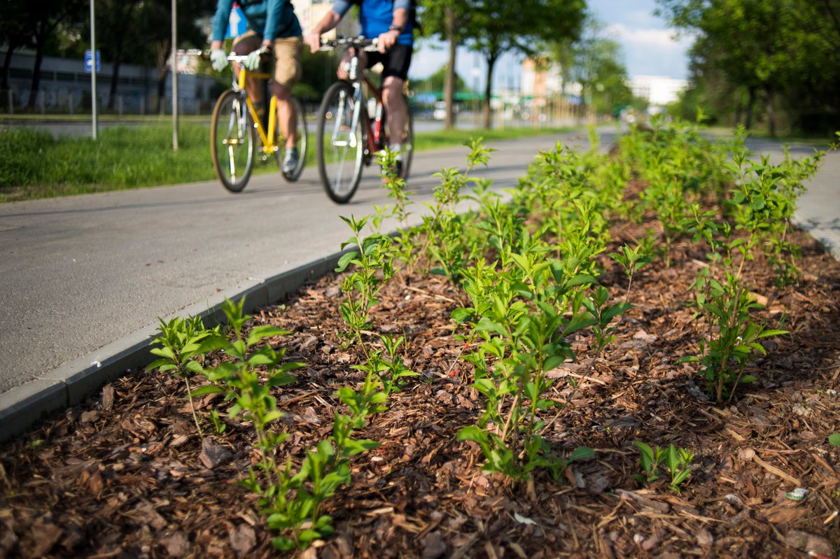 Otworzyliśmy oferty w wieloczęściowym przetargu na remonty i przebudowy ulic. Postępowanie obejmuje sześć ulic w sześciu dzielnicach - są to ulice Ciszewskiego, Kasprzaka, Wybrzeże Gdyńskie, Powstańców Śląskich, Senatorska oraz Grochowska.
Szczegóły: zdm.waw.pl/WięcejNiżRemont