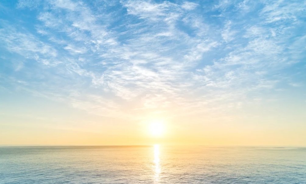 Good Monday morning. This is the day the Lord has made. I will rejoice &amp; be glad in it. Psalm 118:24 #MondayVibes #MondayMorning