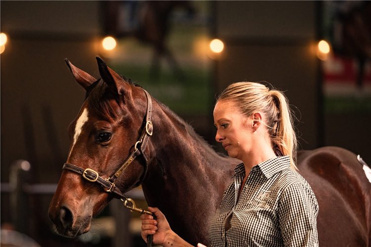 Record-breaking day to start Australian Weanling Sale. 
racingandsports.com.au/news/bloodstoc…