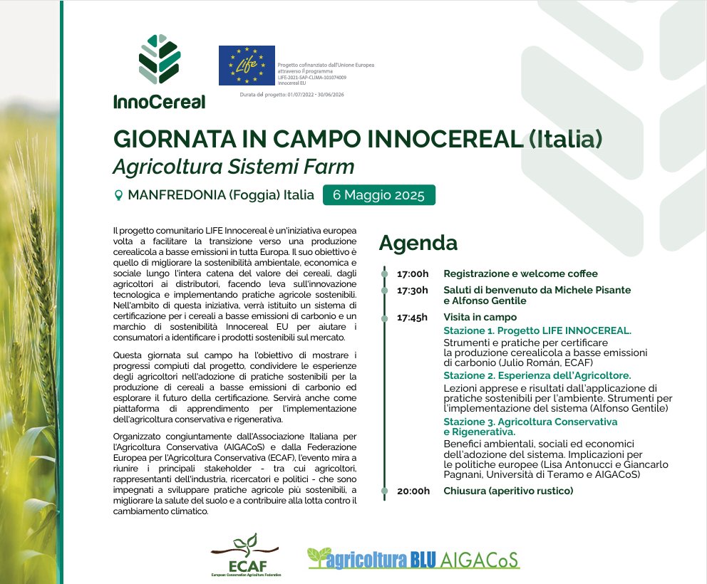 Life_Innocereal's tweet image. 🌾 Il 6 maggio a Manfredonia (Italia) 🇮🇹: GIORNATA IN CAMPO INNOCEREAL
Scopri l’agricoltura a basse emissioni con visite in campo e testimonianze dirette
🕔 Ore 17:00 | 📍Sistemi Farm
🍞 Chiusura con aperitivo rustico!
#LIFEInnocerealEU #AgricolturaSostenibile #EUAgri #ECAF