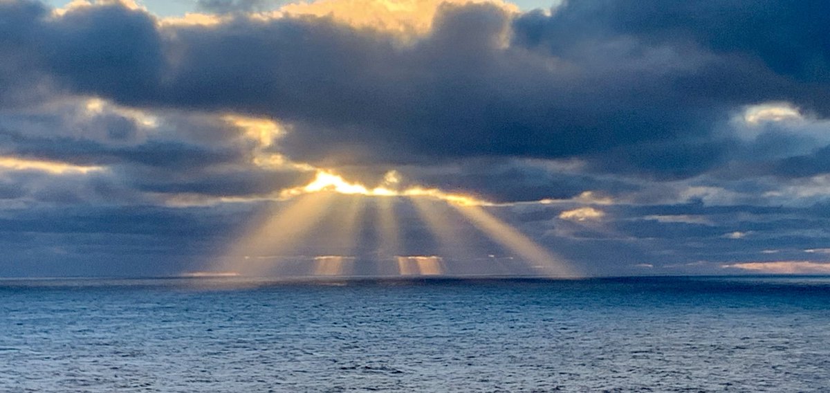 Good morning. Enjoy the start of another week.  Be safe. Be kind.