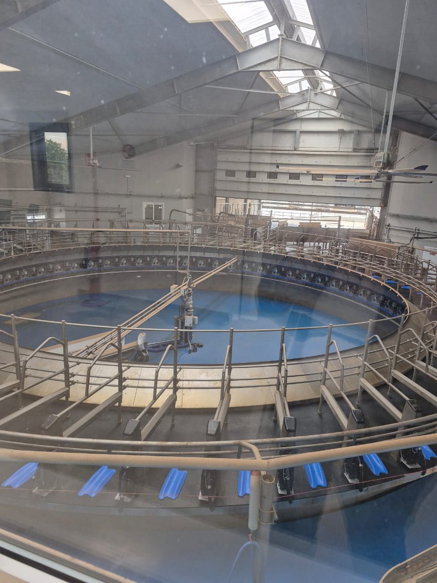 “This farm is more than a place of production — it’s a place of purpose.”
– Donatella Santoro, REDINN
#SocialFarming #InclusiveAgriculture #Se4All